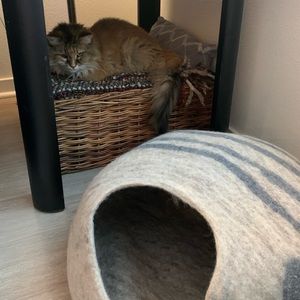 Merino wool cat cave